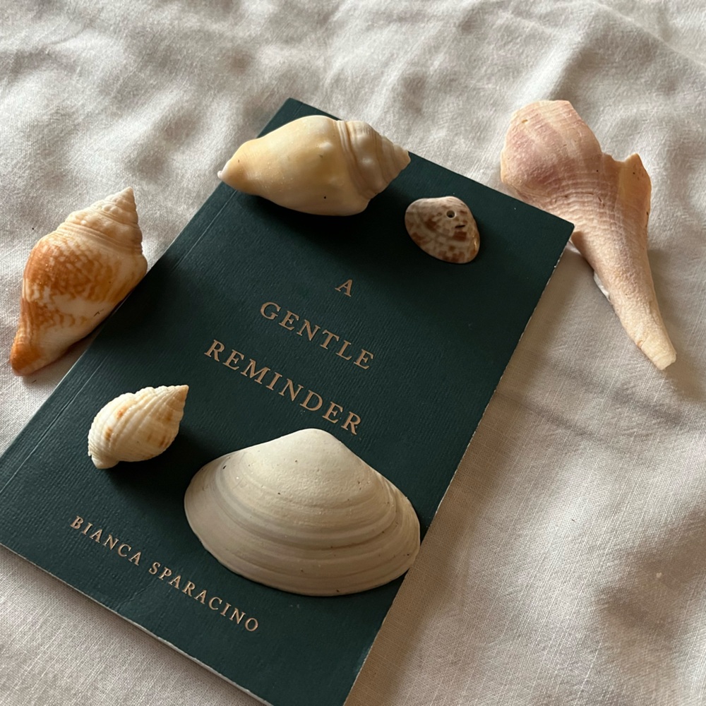 A gentle reminder : daily affirmations book!